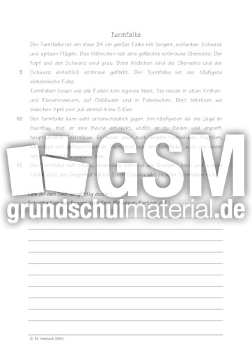 Turmfalke.pdf